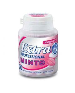 Extra Mints Professional Waldfrucht 70 Mints